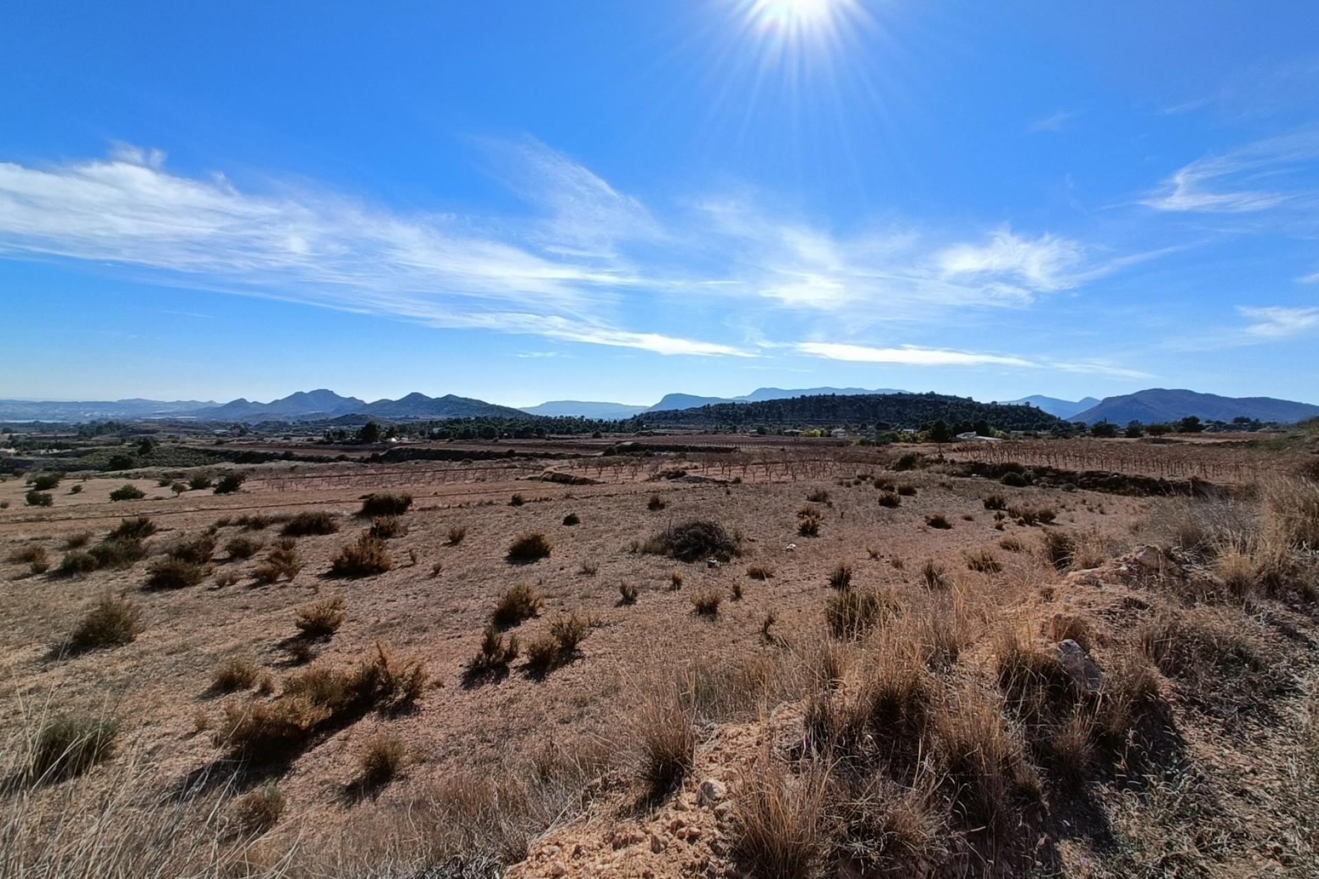 NIEUWBOUW - Vrijstaande Villa -
La Romana