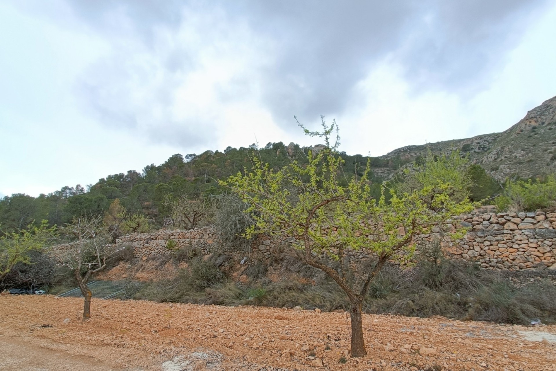 NIEUWBOUW - Vrijstaande Villa -
La Romana