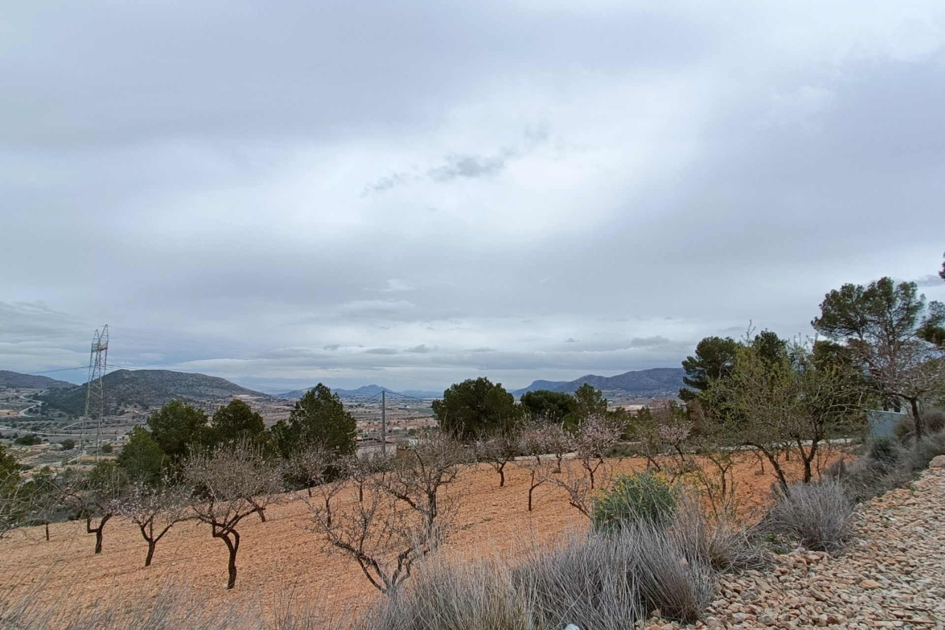 NIEUWBOUW - Vrijstaande Villa -
La Romana