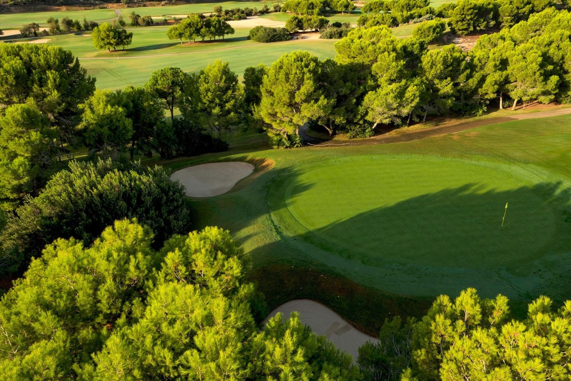 NIEUWBOUW - Vrijstaande Villa -
Pilar de la Horadada - Lo Romero Golf