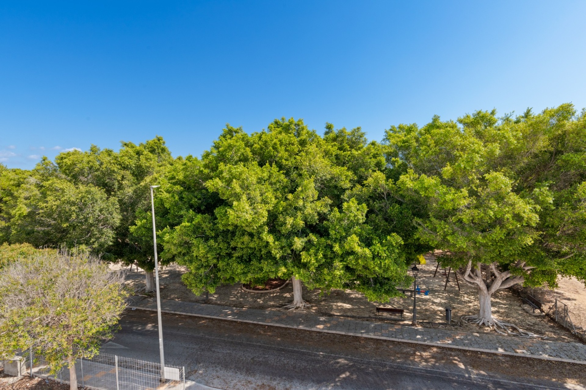NIEUWBOUW - Vrijstaande Villa -
Pilar de la Horadada