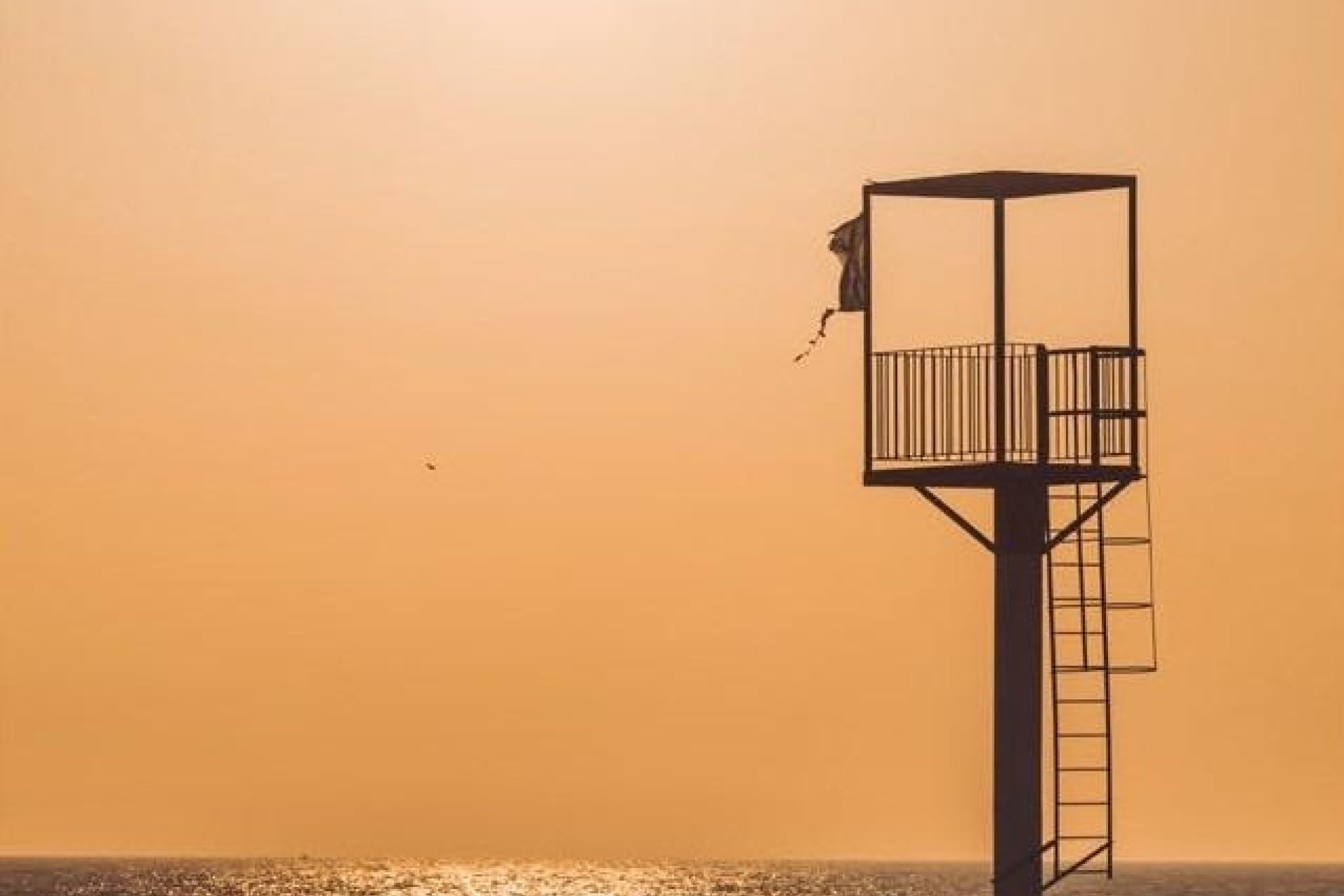 Nouvelle construction - Apartement Flat -
Almerimar