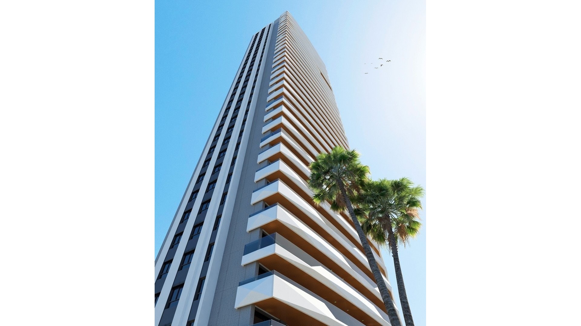 Nouvelle construction - Apartement Flat -
Benidorm - Poniente
