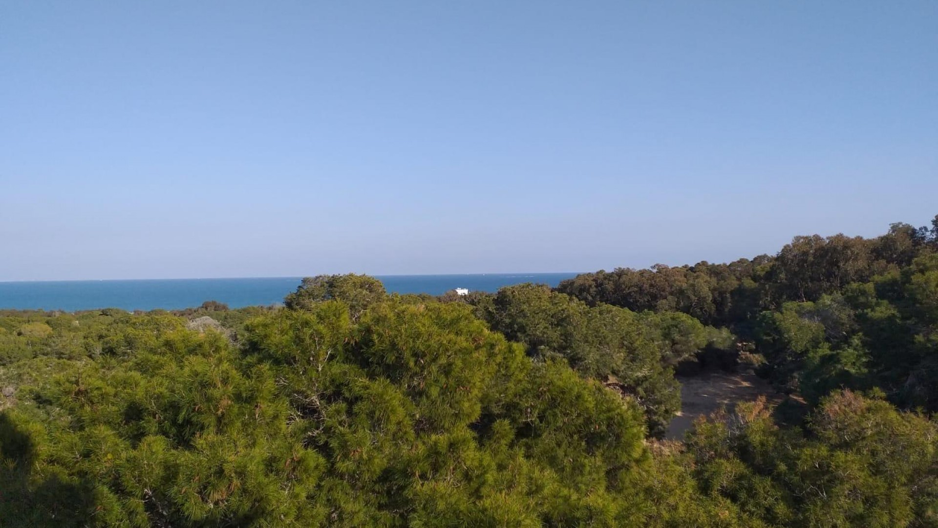 Nouvelle construction - Apartement Flat -
Guardamar del Segura - Pueblo