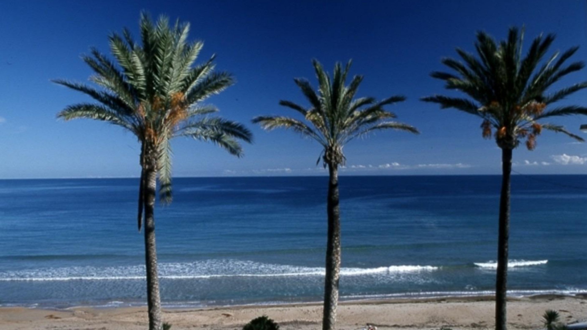 Nouvelle construction - Apartement Flat -
Pilar de la Horadada - Parque Ramon eugenio Escudero