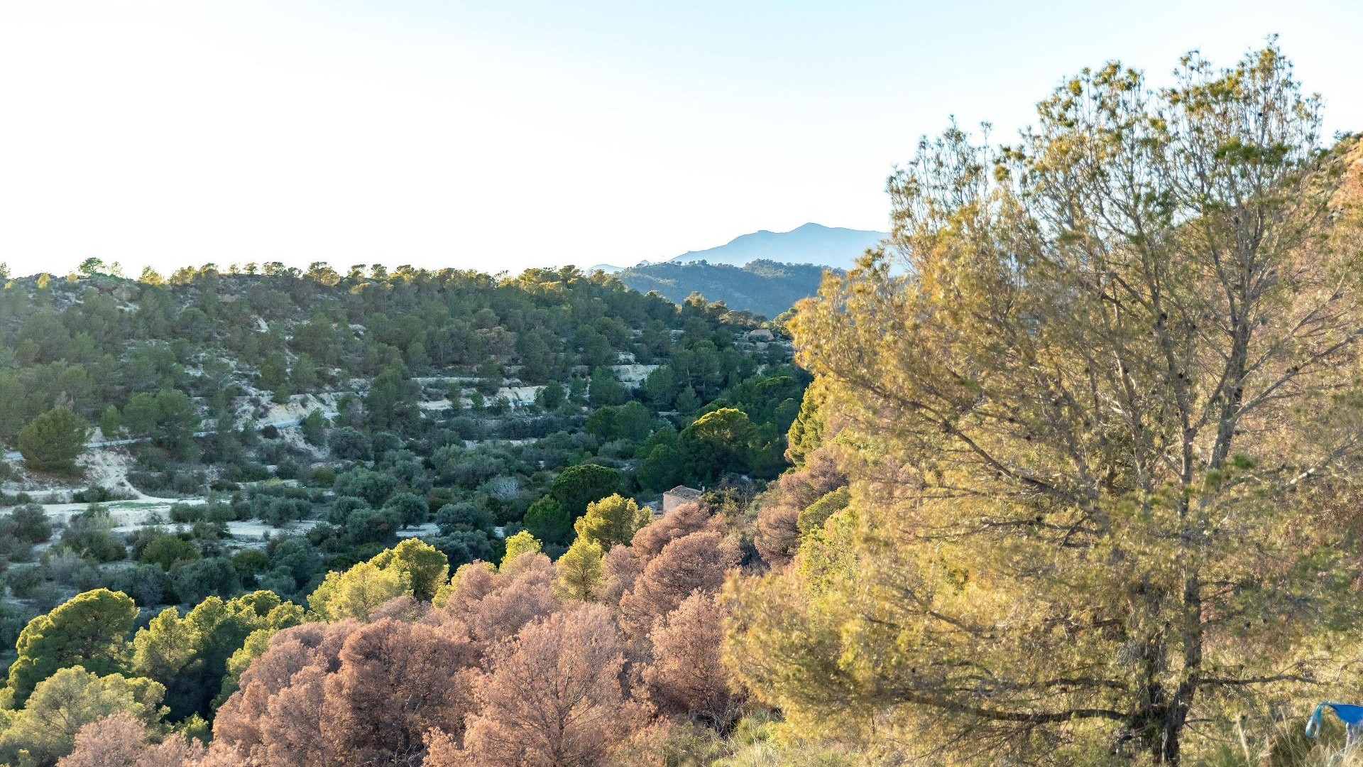 Nouvelle construction - Appartement -
Finestrat - Balcón de finestrat