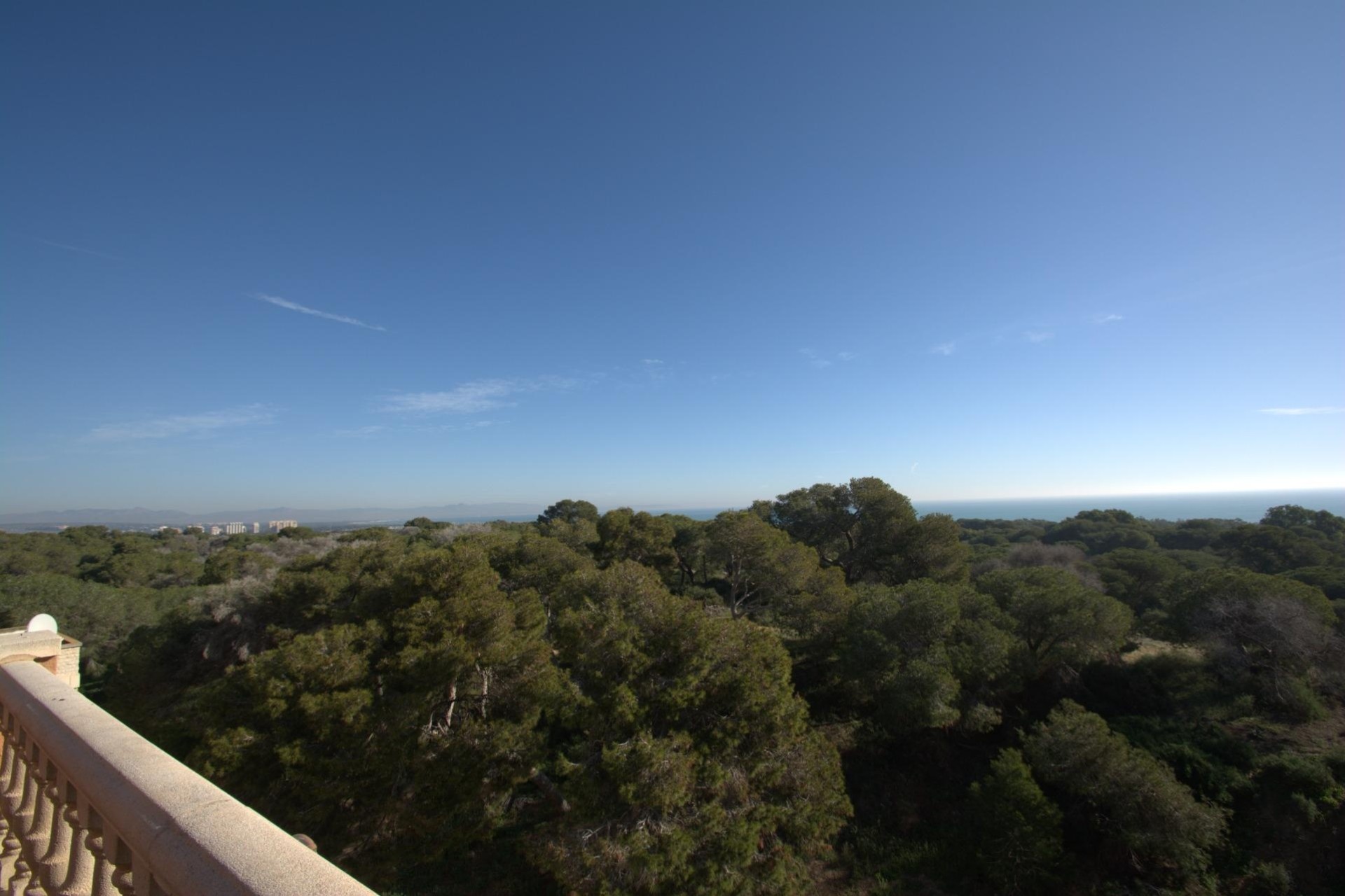 Nouvelle construction - Appartement -
Guardamar del Segura - Pueblo