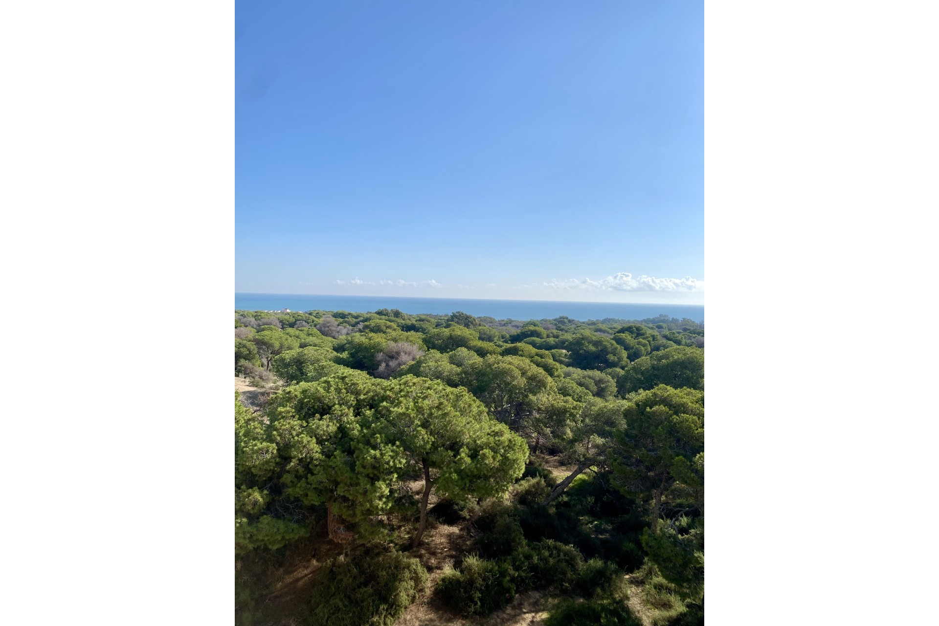 Nouvelle construction - Appartement -
Guardamar del Segura