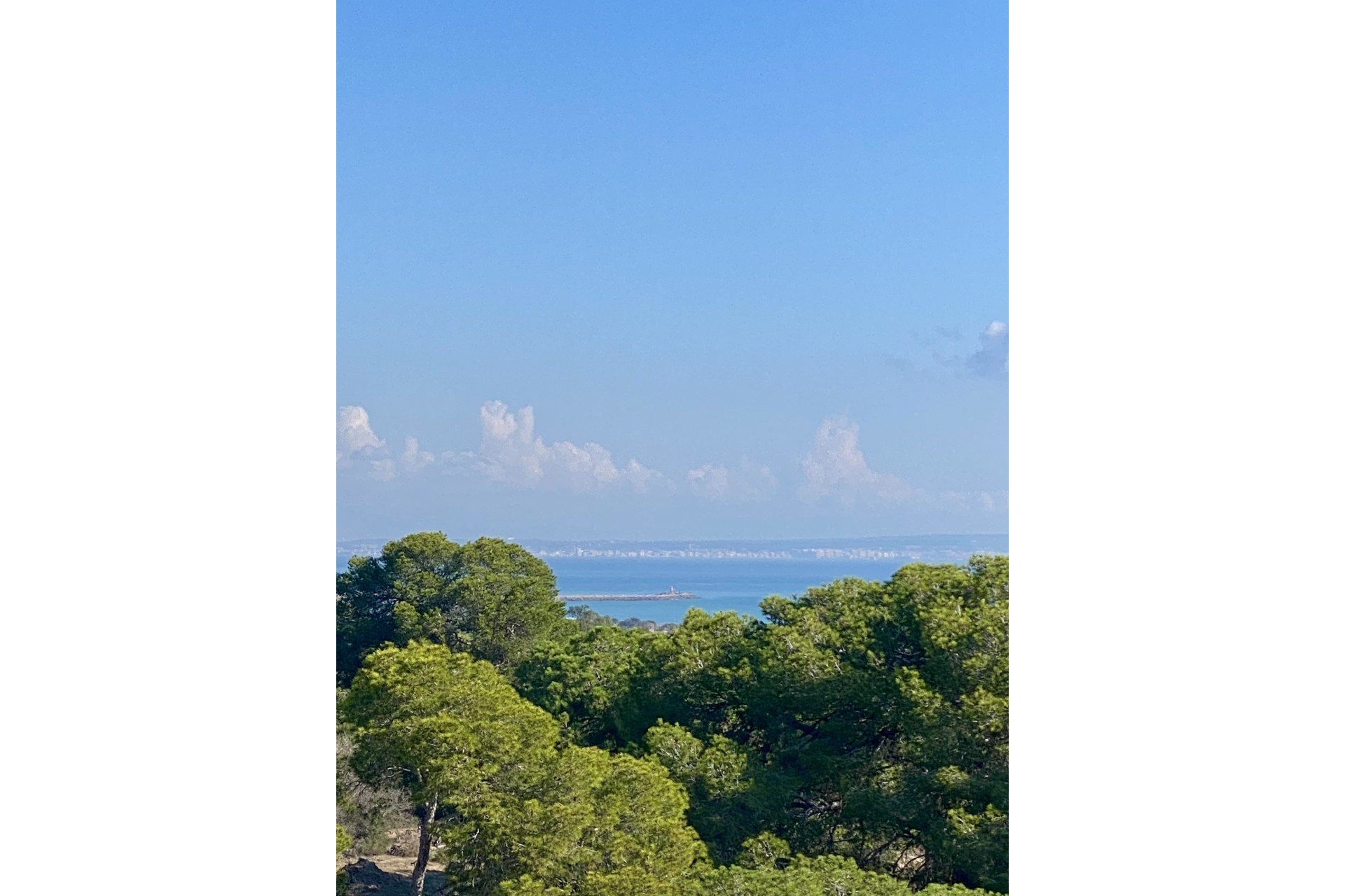 Nouvelle construction - Appartement -
Guardamar del Segura