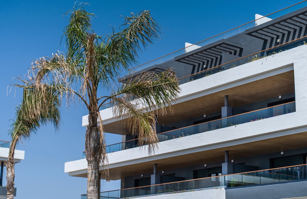 Nouvelle construction - Appartement -
﻿Torrevieja (Alicante) - Spain