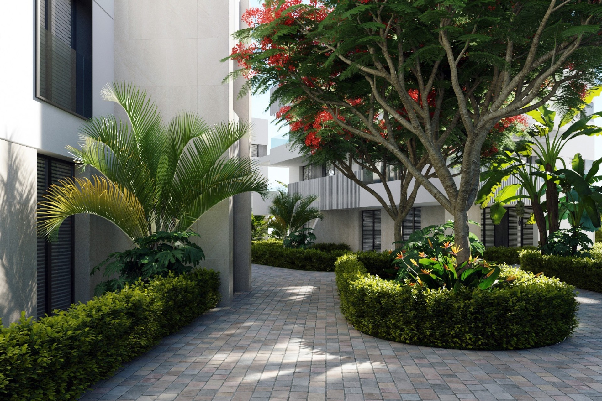 Nouvelle construction - Appartement -
Santa Rosalia Resort - Santa Rosalia