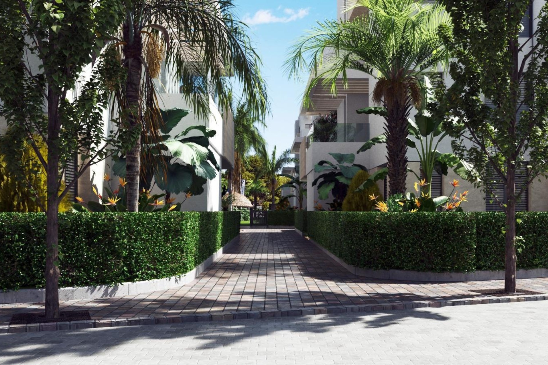 Nouvelle construction - Appartement -
Santa Rosalia