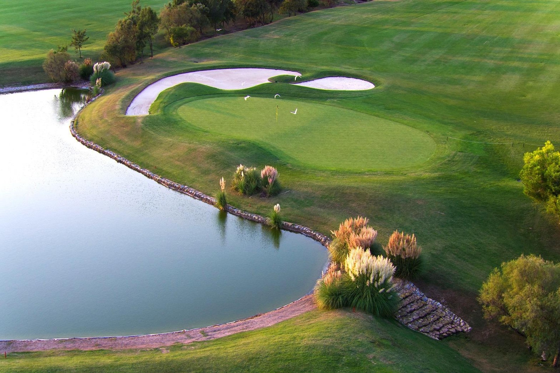 Nouvelle construction - Villa Individuelle -
Pilar de la Horadada - Lo Romero Golf