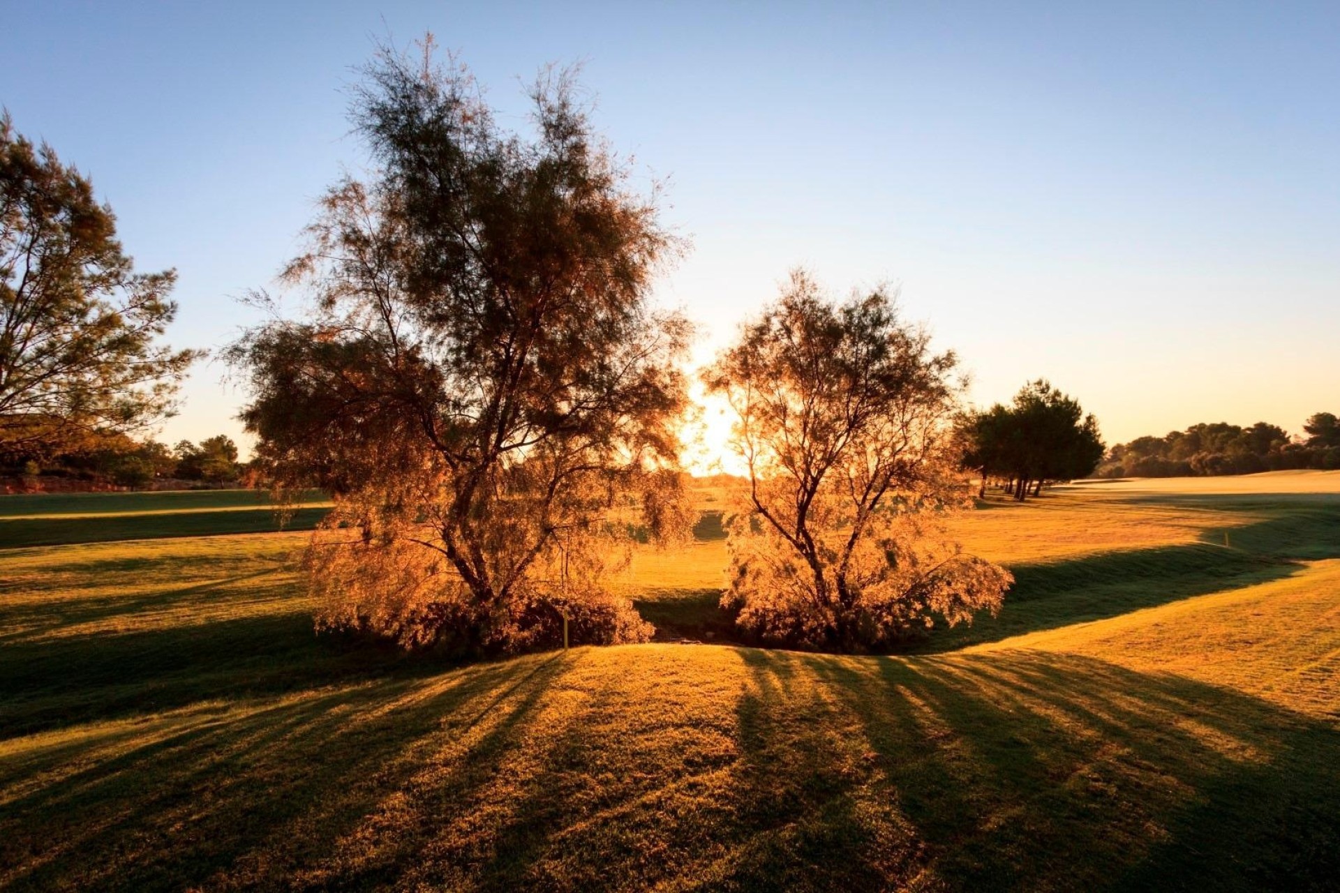 Nouvelle construction - Villa Individuelle -
Pilar de la Horadada - Lo Romero Golf