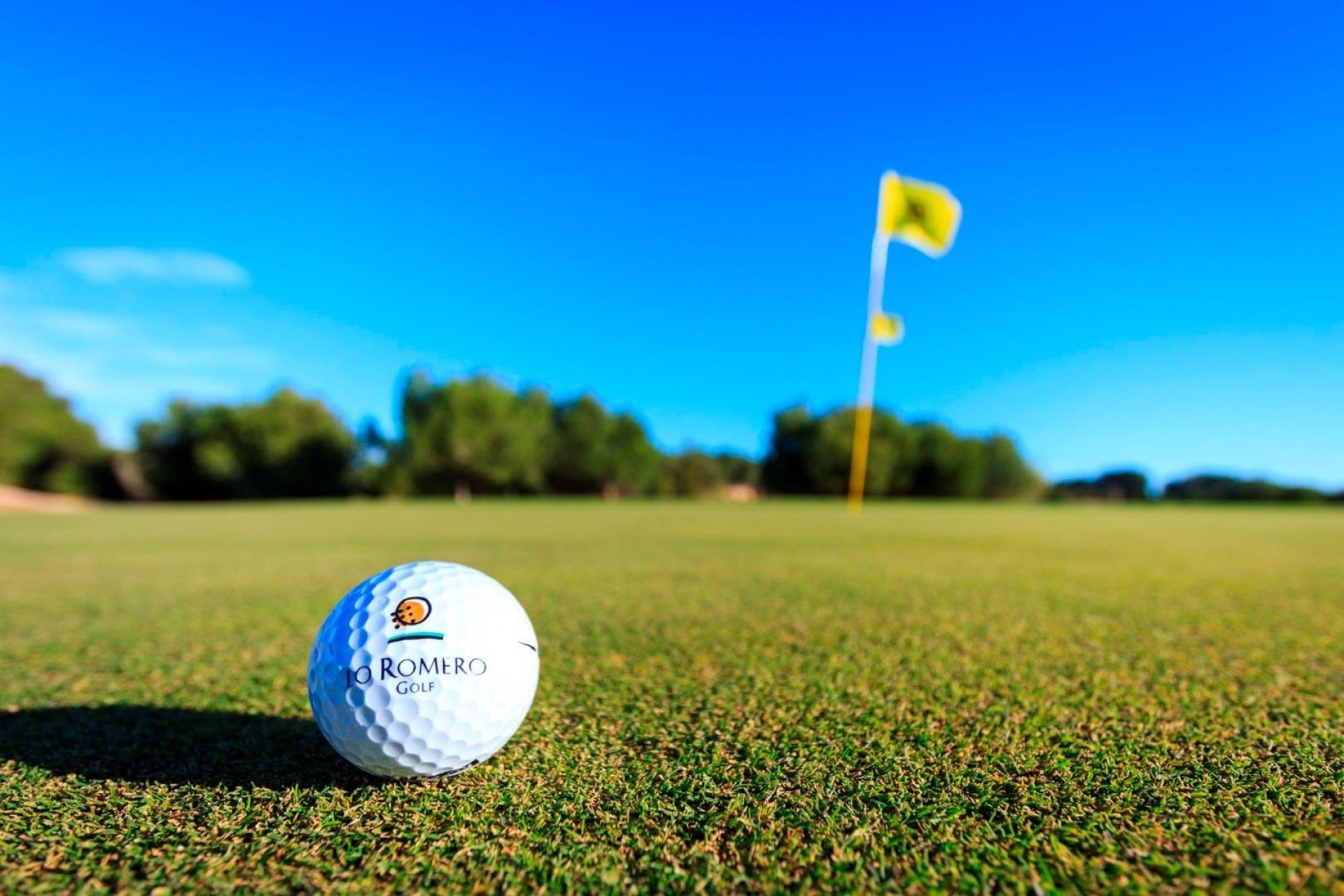Nouvelle construction - Villa Individuelle -
Pilar de la Horadada - Lo Romero Golf