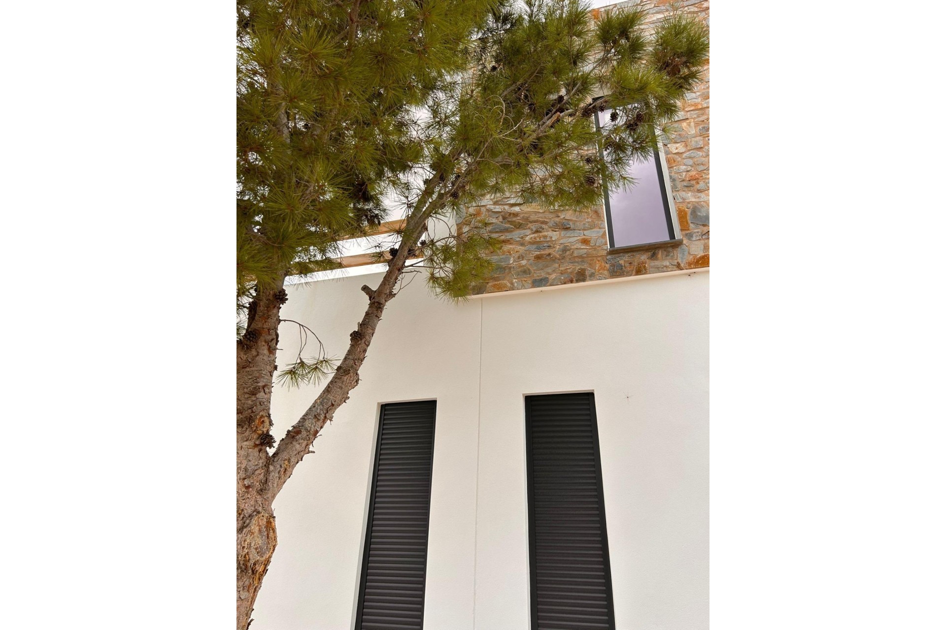Nouvelle construction - Villa Individuelle -
Pinoso - Casas Pastor