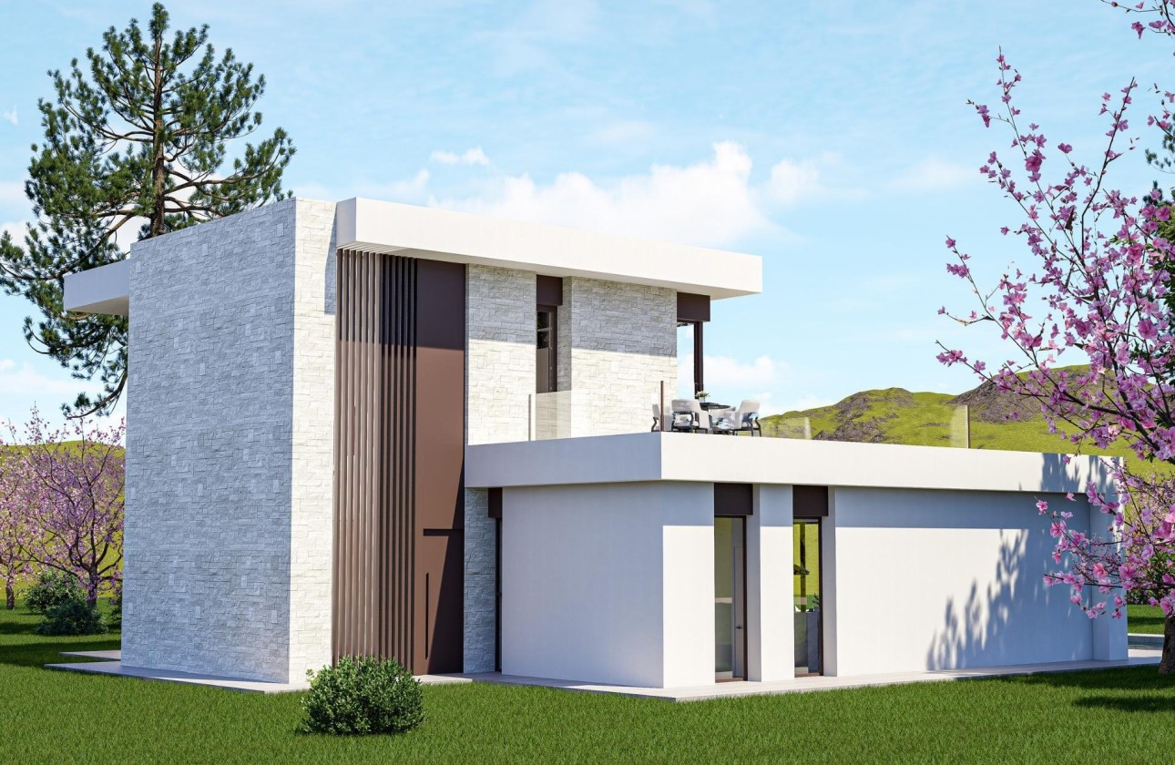 Nouvelle construction - Villa Individuelle -
Pinoso - Lel