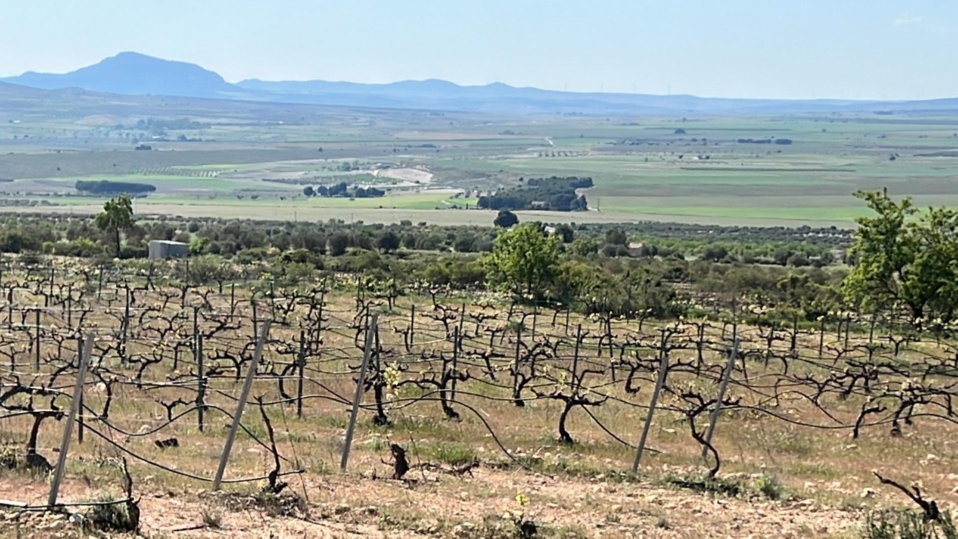 Nouvelle construction - Villa Individuelle -
Yecla