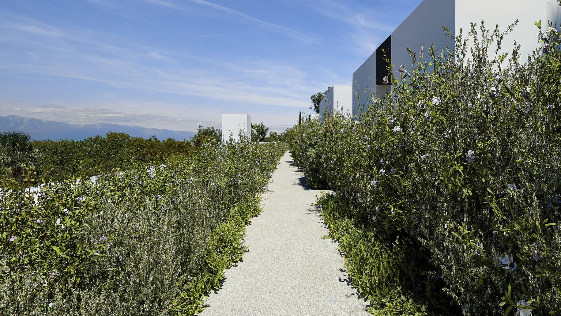 Nouvelle construction - Vrijstaande Villa -
Alfaz del Pi - Barranc Fondo