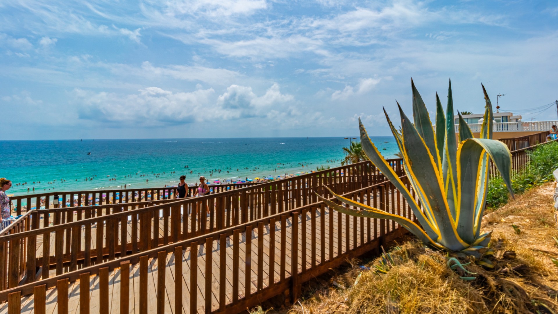 Nouvelle construction - Vrijstaande Villa -
La Zenia