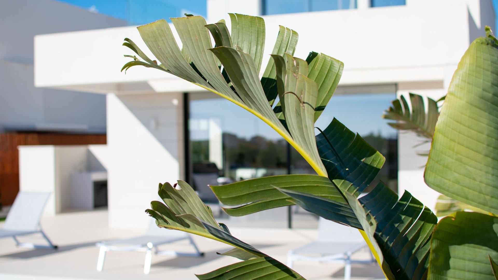 Nouvelle construction - Vrijstaande Villa -
Los Montesinos - La herrada