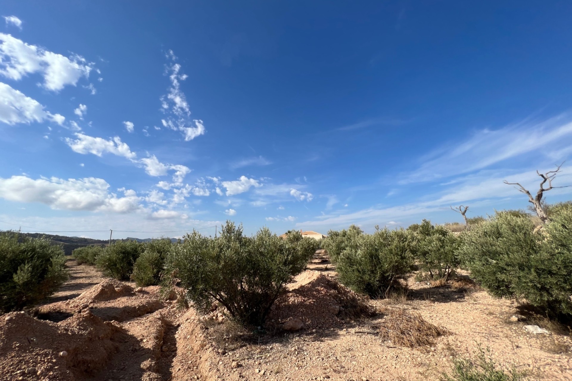 Nouvelle construction - Vrijstaande Villa -
Macisvenda