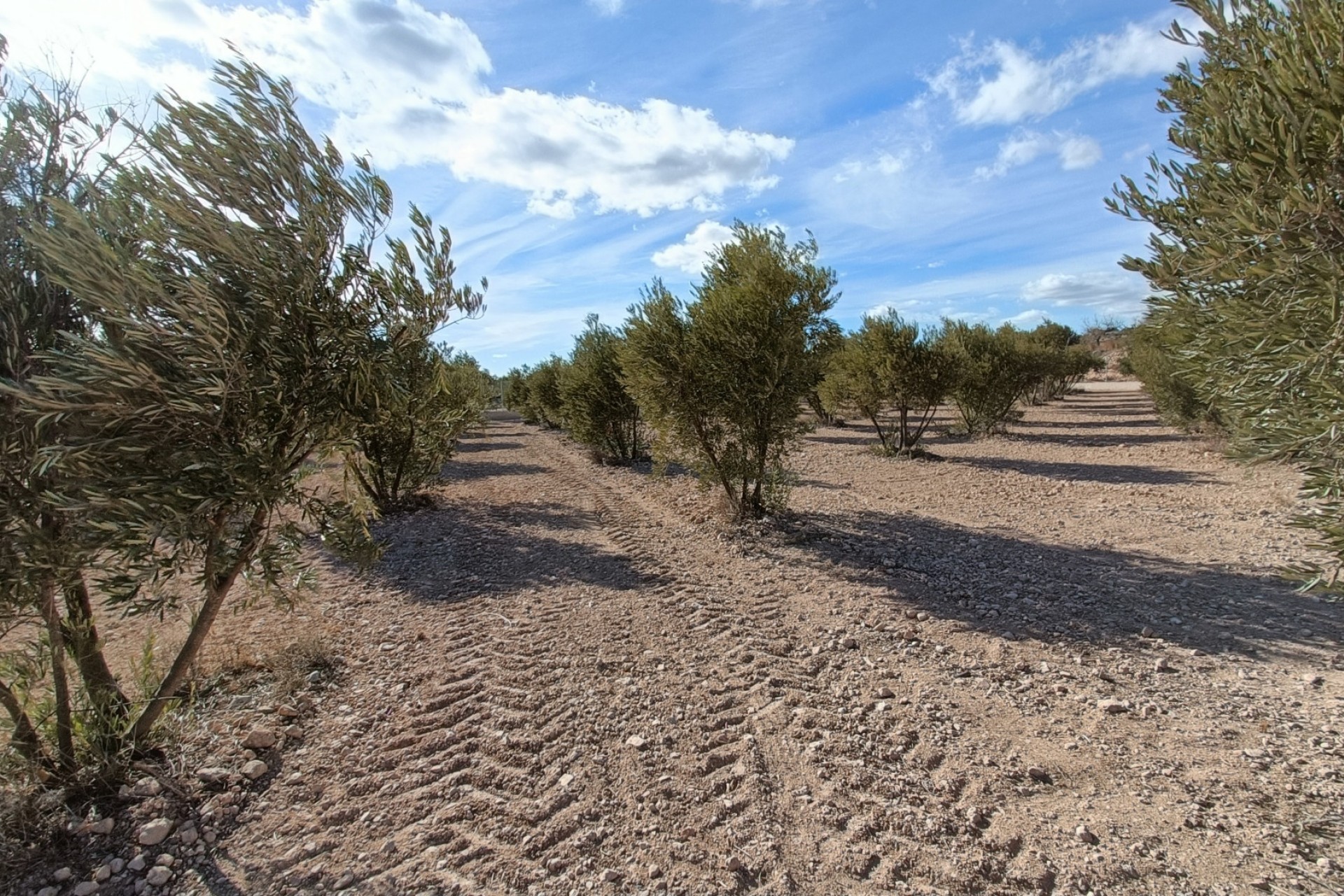 Nouvelle construction - Vrijstaande Villa -
Macisvenda