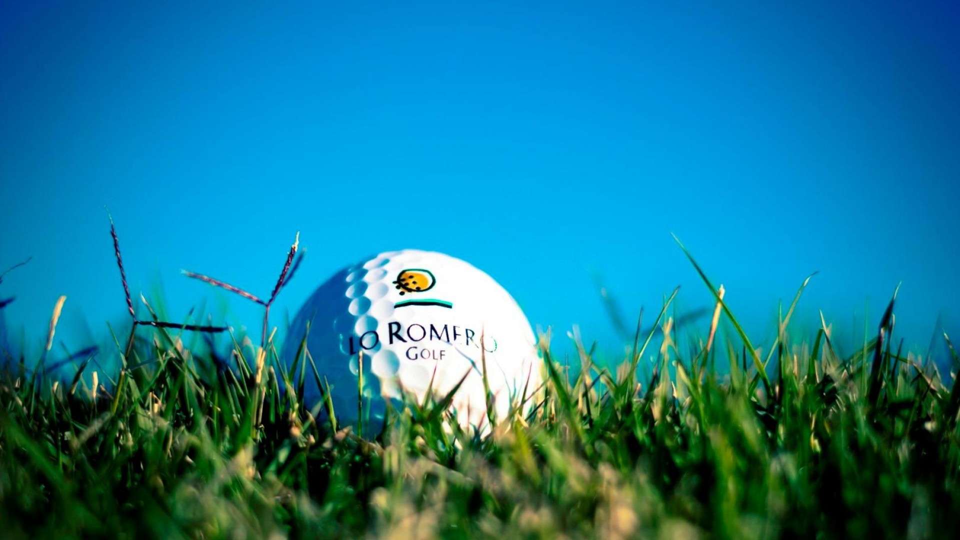 Nouvelle construction - Vrijstaande Villa -
Pilar de la Horadada - Lo Romero Golf