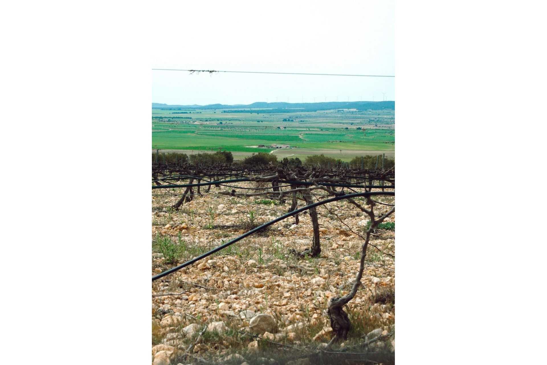 Nouvelle construction - Vrijstaande Villa -
Yecla