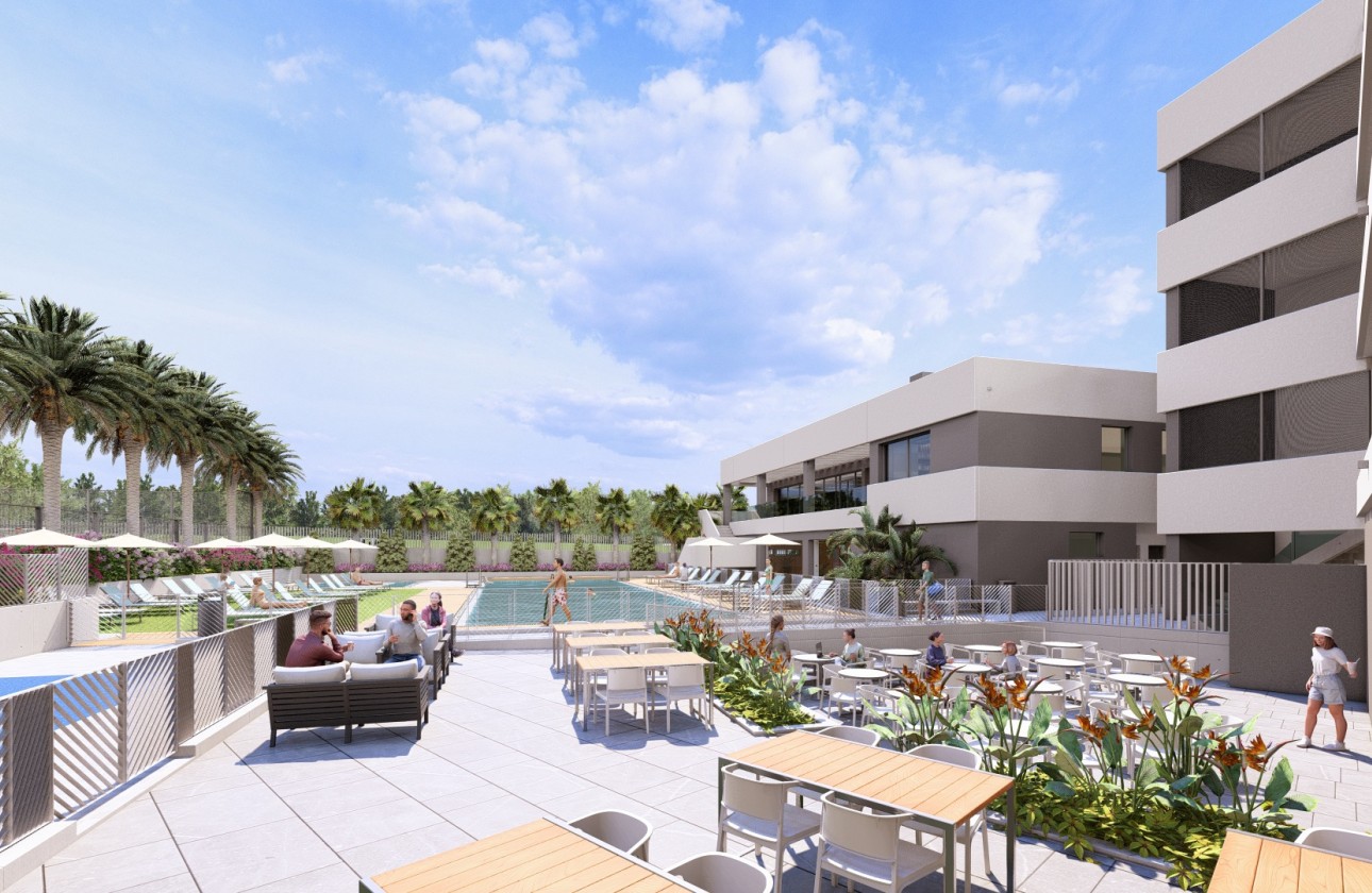 Nowa konstrukcja - Apartament / Mieszkanie -
﻿Torrevieja (Alicante) - Spain
