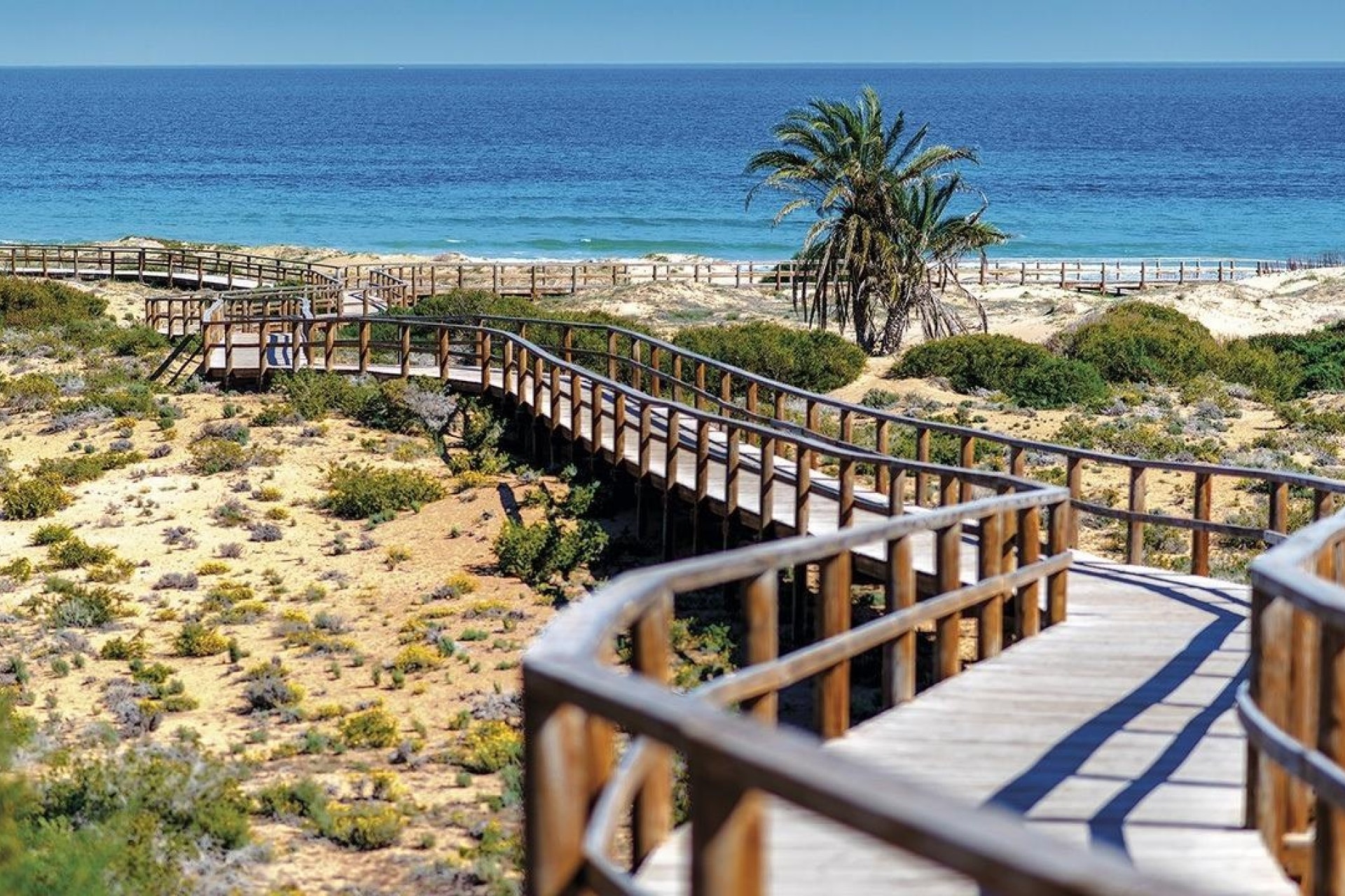 Nowa konstrukcja - Apartament / Mieszkanie -
Monforte del Cid - Alenda Golf