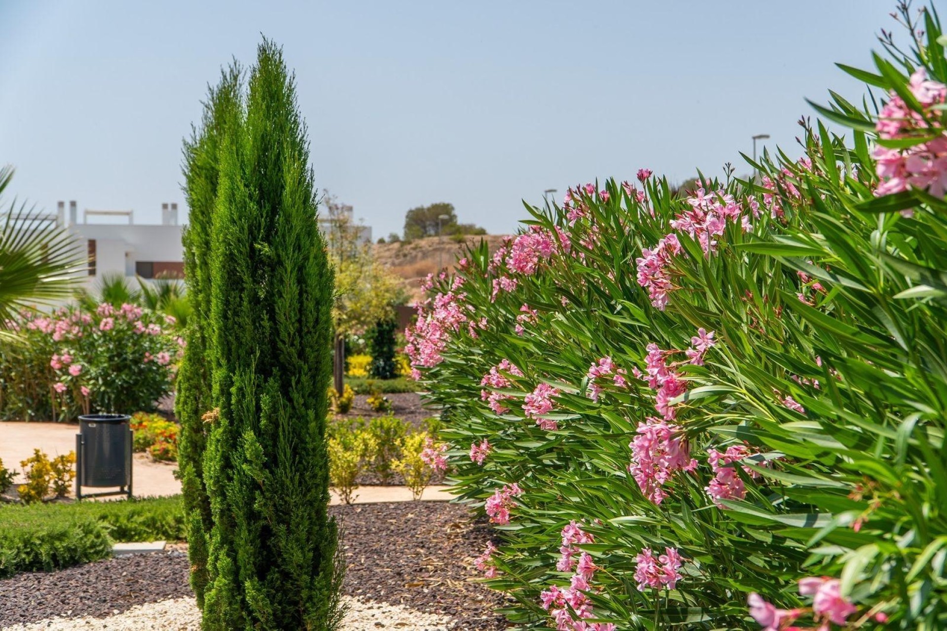 Nowa konstrukcja - Dom miejski -
Orihuela - Vistabella Golf