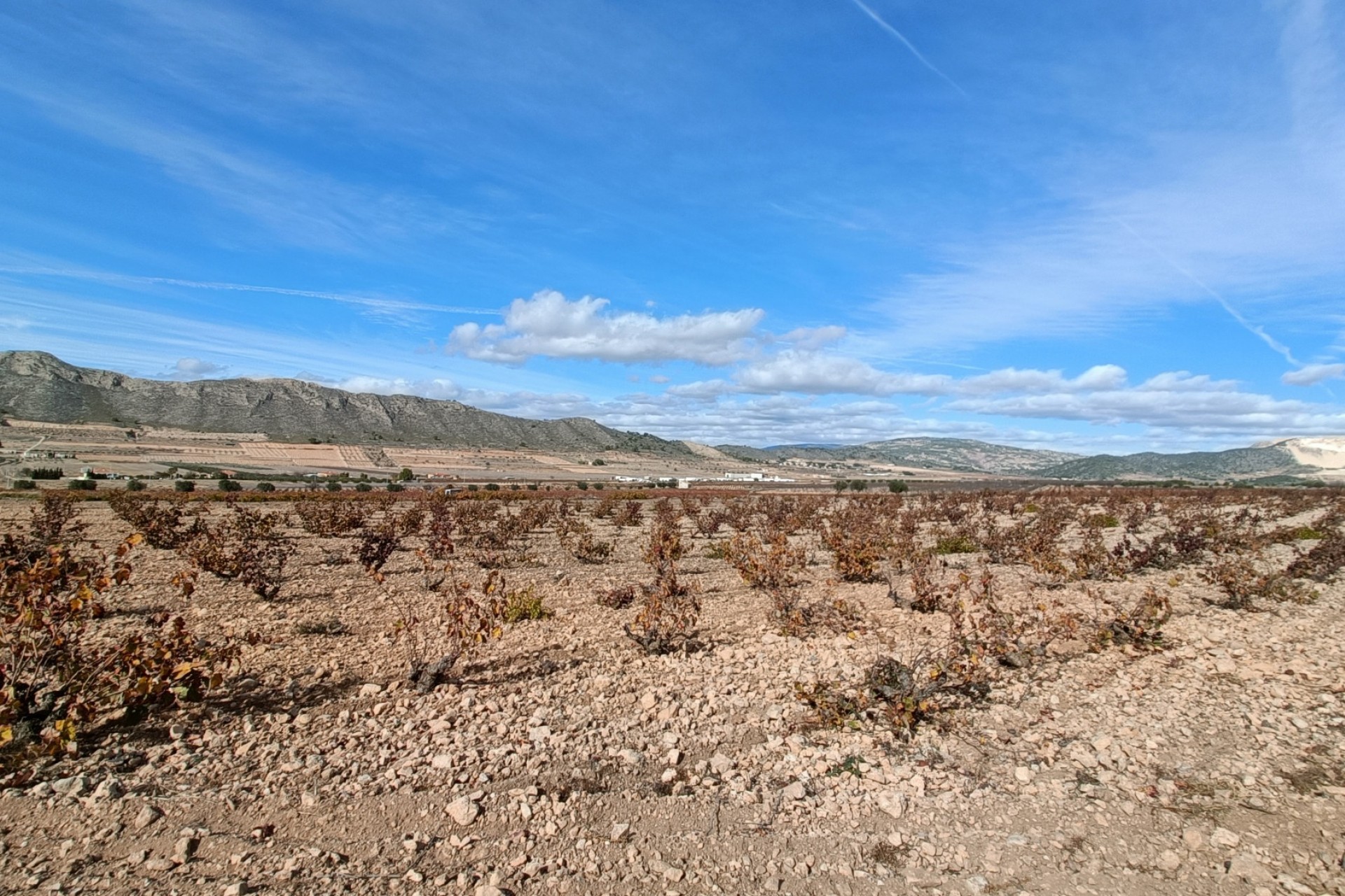 Nowa konstrukcja - Willa wolnostojąca -
Cañada de la Leña