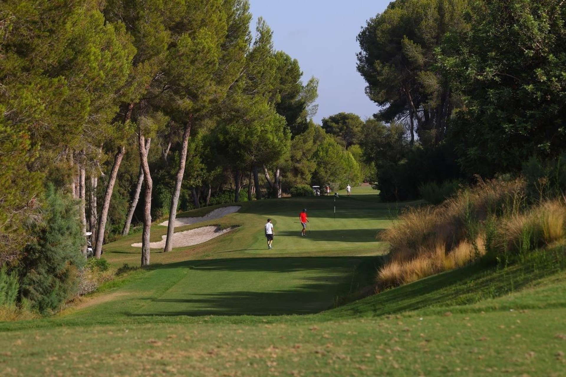 Nowa konstrukcja - Willa wolnostojąca -
Orihuela - Las Colinas Golf