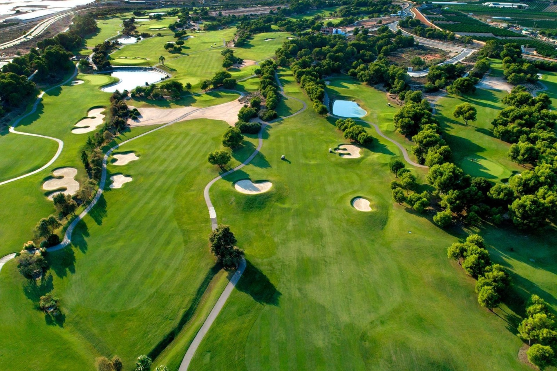 Nowa konstrukcja - Willa wolnostojąca -
Pilar de la Horadada - Lo Romero Golf