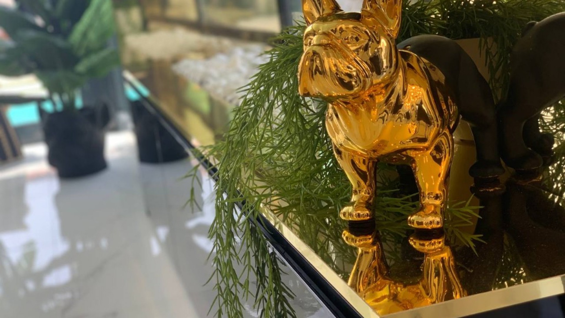 Nowa konstrukcja - Willa wolnostojąca -
Torrevieja