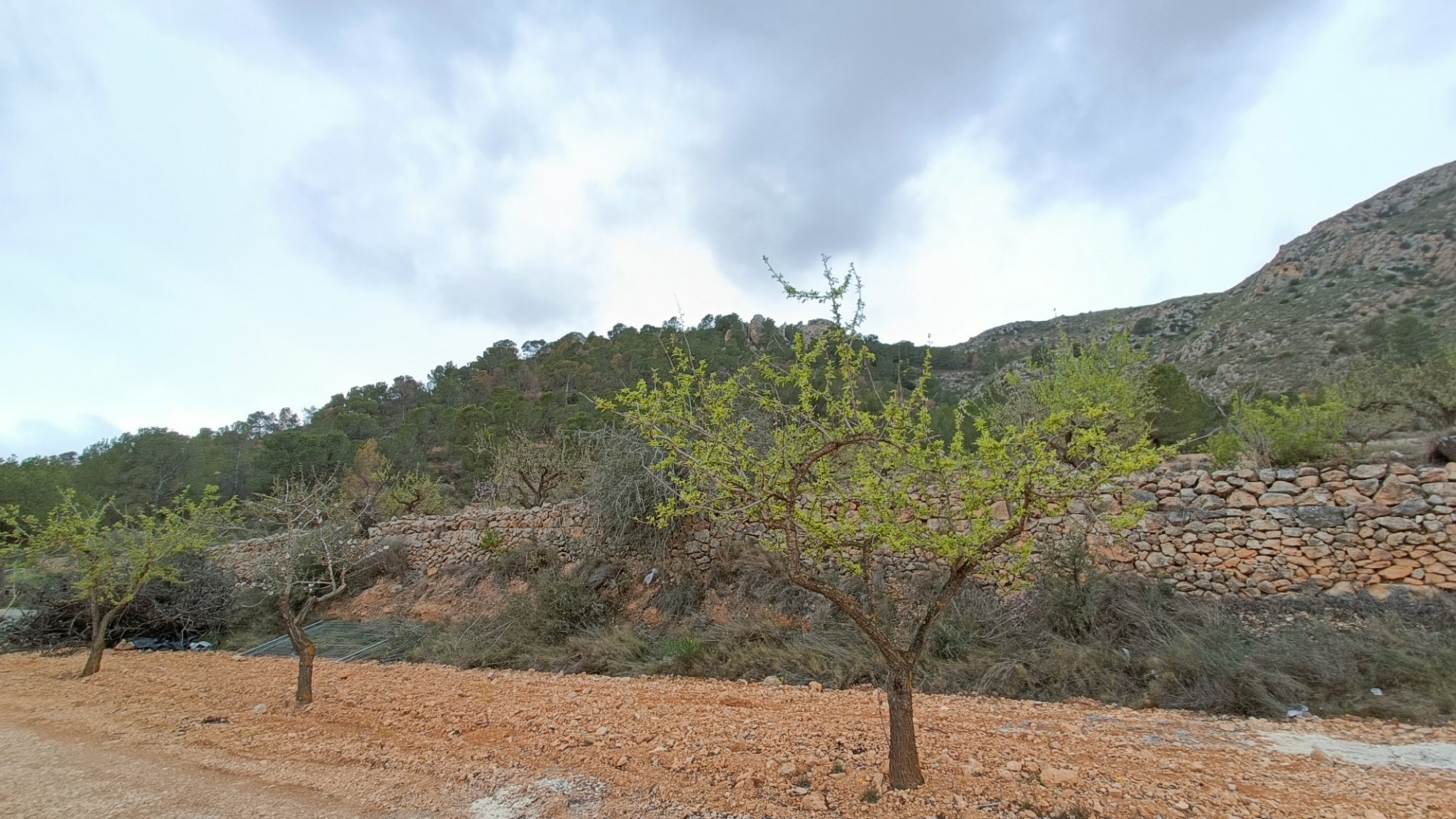 Nybyggd - Fristående villa -
La Romana