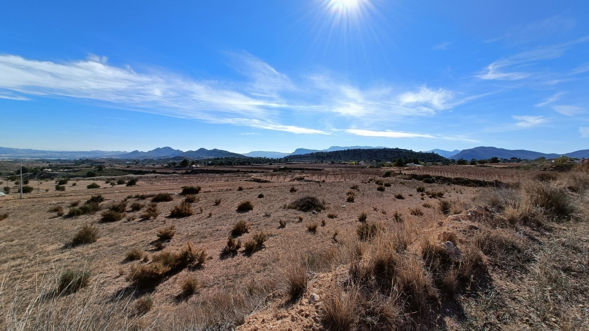 Nybyggd - Fristående villa -
Novelda