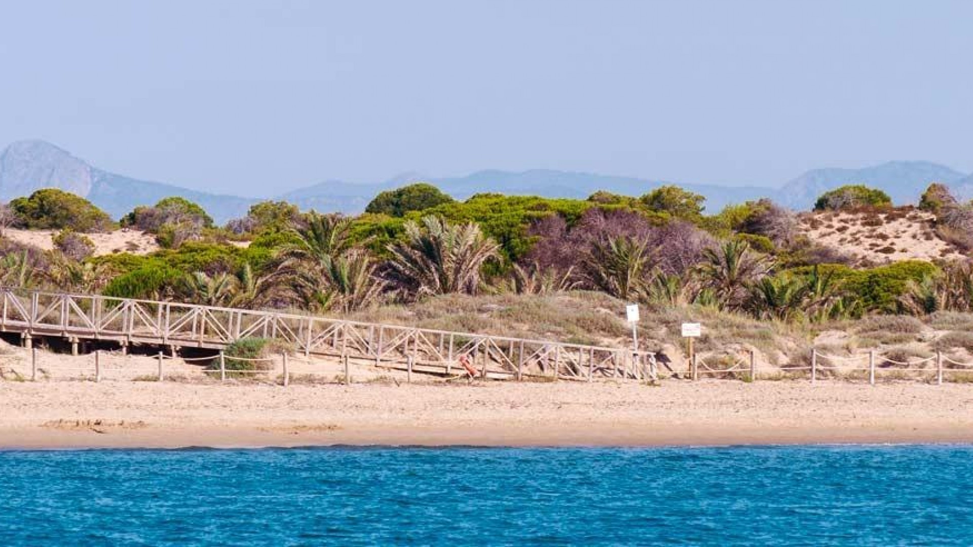 Nybyggd - Lägenhet lägenhet -
Guardamar del Segura - Pueblo