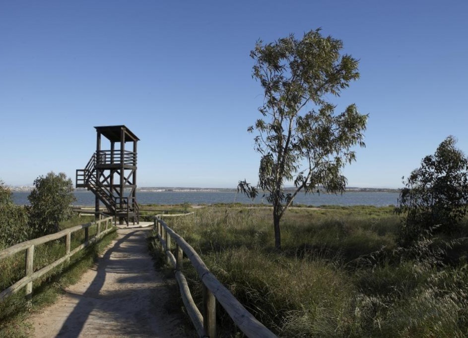 Nybyggd - Lägenhet lägenhet -
Torrevieja - Altos del Sol
