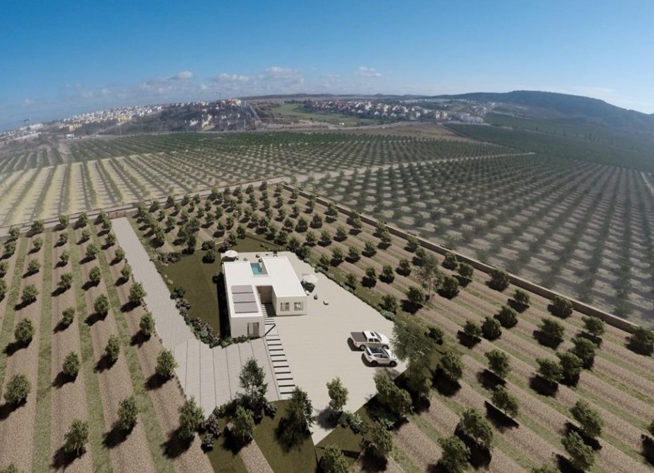 Nybyggeri - Fritliggende villa -
Algorfa - Lomas de la Juliana