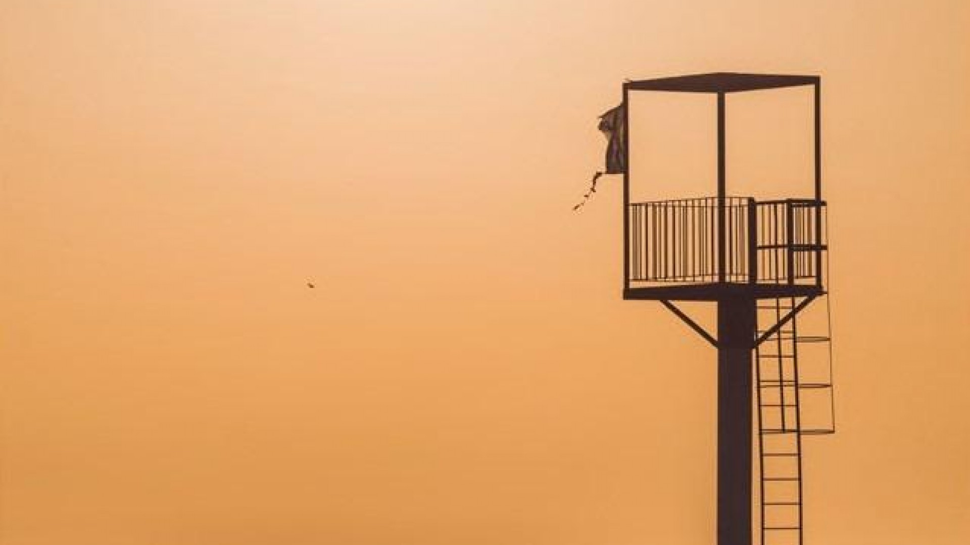 Nybyggeri - Lejlighed lejlighed -
Almerimar