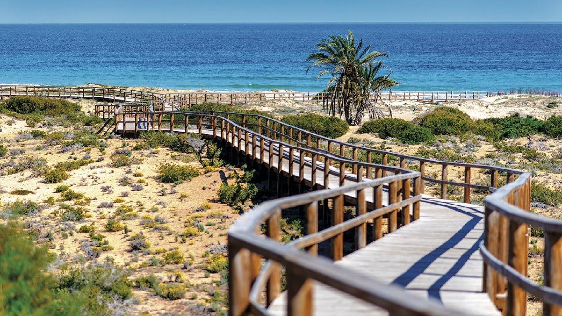 Nybyggeri - Lejlighed lejlighed -
Monforte del Cid - Alenda Golf