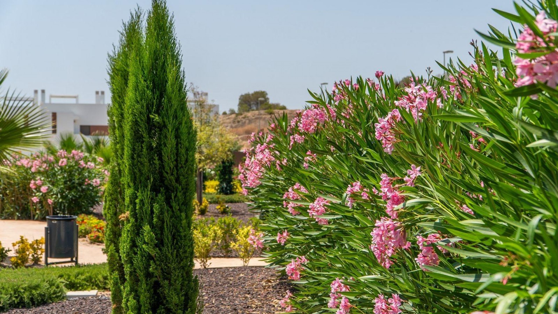 Nybyggeri - Lejlighed lejlighed -
Orihuela - Vistabella Golf