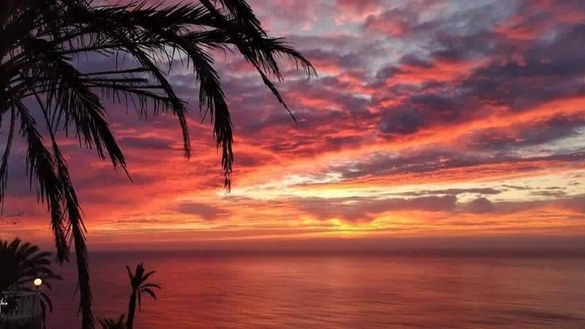 Nybyggeri - Lejlighed lejlighed -
Torrevieja - Altos del Sol