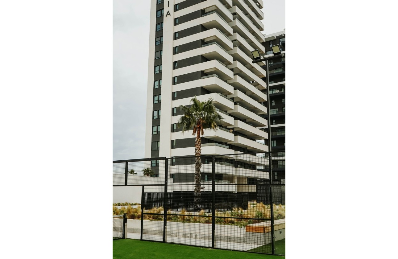 Obra Nueva - Apartamento / Piso -
Calpe