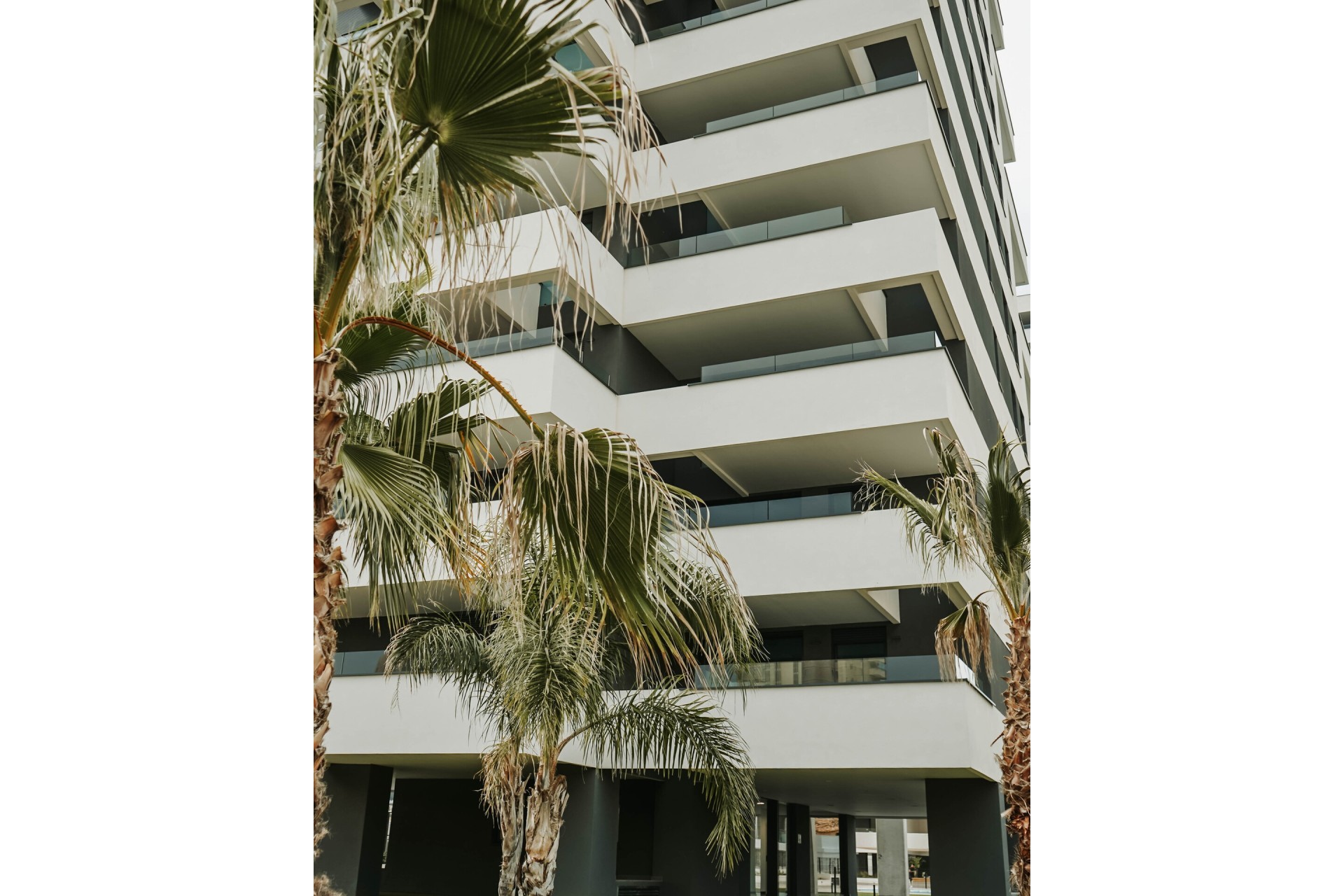 Obra Nueva - Apartamento / Piso -
Calpe