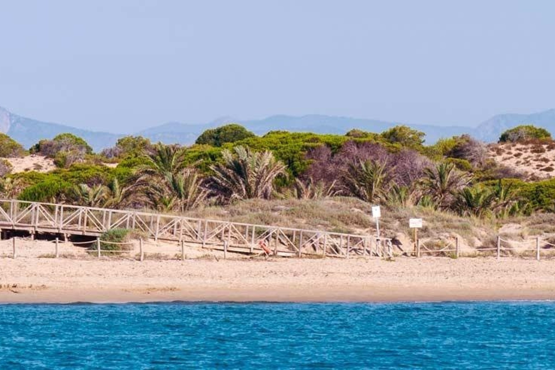 Obra Nueva - Apartamento / Piso -
Guardamar del Segura - Pueblo