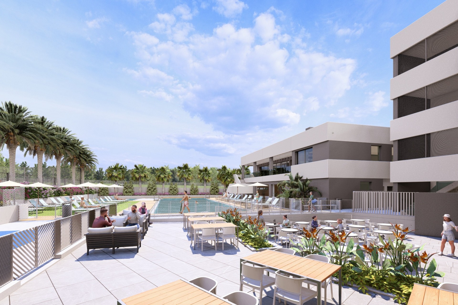 Obra Nueva - Apartamento / Piso -
﻿Torrevieja (Alicante) - Spain
