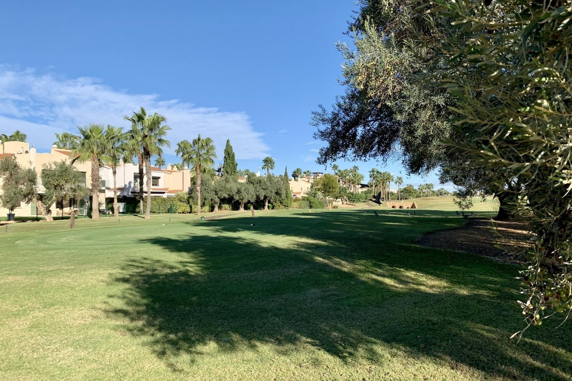 Obra Nueva - Apartamento / Piso -
San Javier - Roda Golf